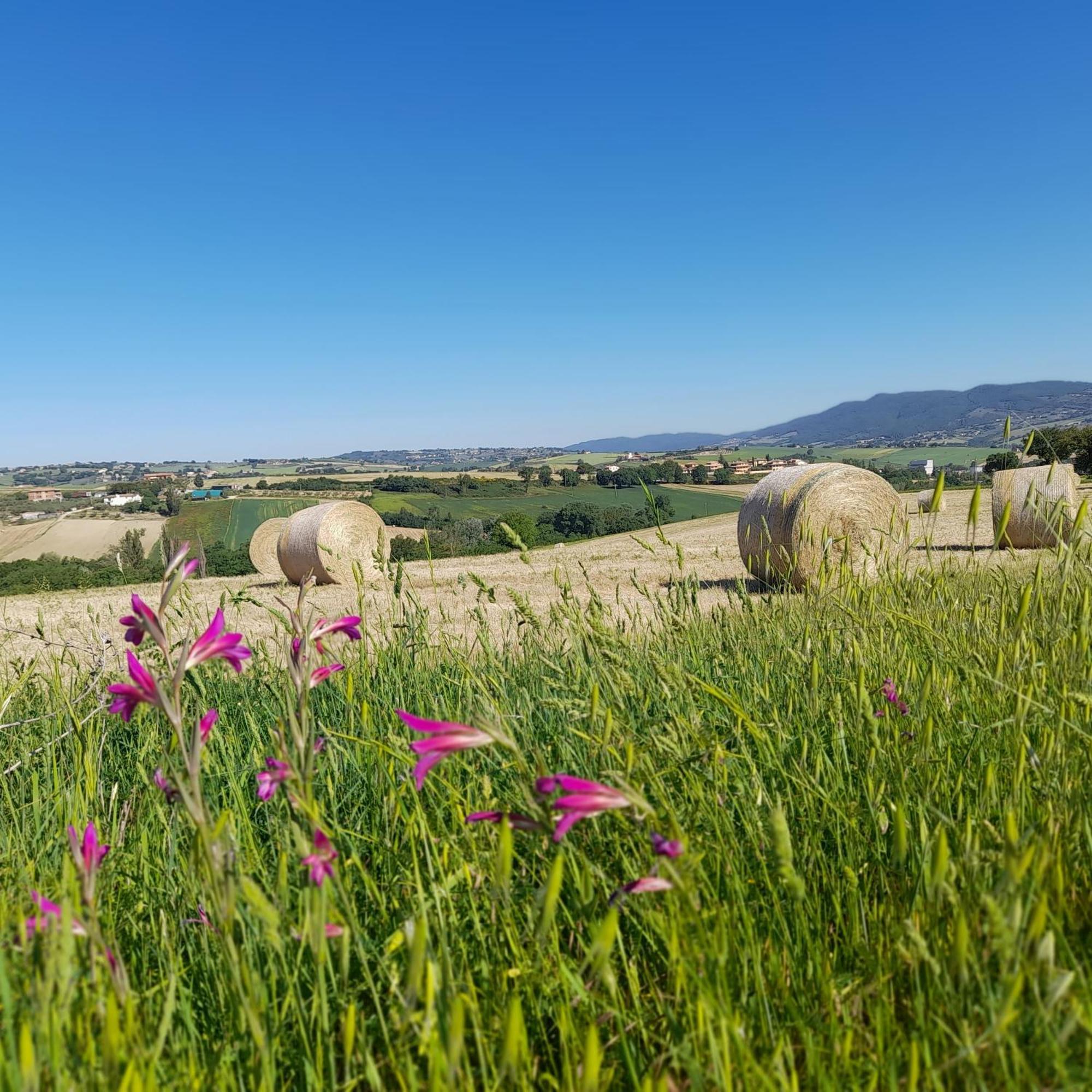 Tenuta San Felice Giano dell'Umbria Luaran gambar