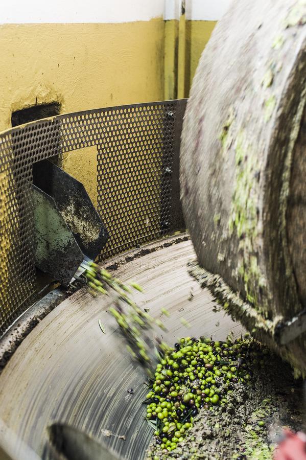 Tenuta San Felice Giano dell'Umbria Luaran gambar