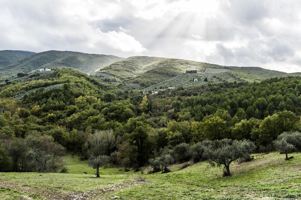 Tenuta San Felice Giano dell'Umbria Luaran gambar