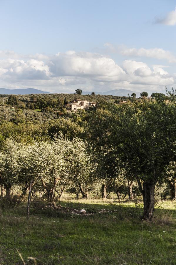 Tenuta San Felice Giano dell'Umbria Luaran gambar